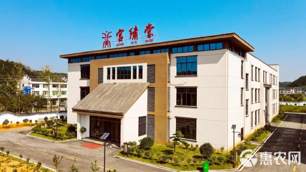 中药材艾条药厂生产艾条艾柱雷火灸悬灸艾灸中医科中医院诊所同款